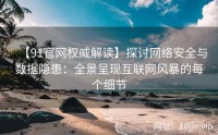 【91官网权威解读】探讨网络安全与数据隐患：全景呈现互联网风暴的每个细节