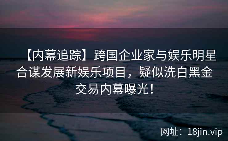 【内幕追踪】跨国企业家与娱乐明星合谋发展新娱乐项目，疑似洗白黑金交易内幕曝光！