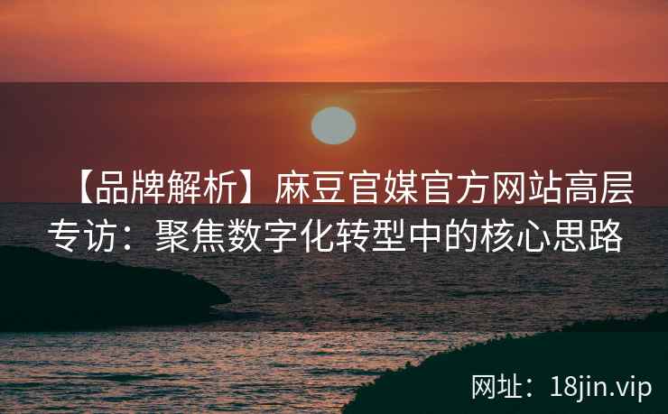 【品牌解析】麻豆官媒官方网站高层专访：聚焦数字化转型中的核心思路
