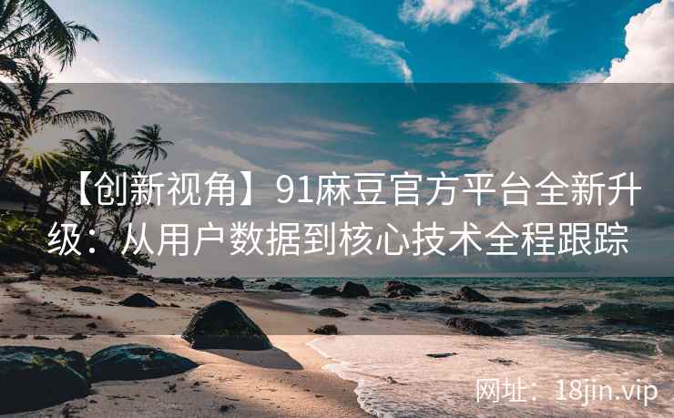 【创新视角】91麻豆官方平台全新升级：从用户数据到核心技术全程跟踪