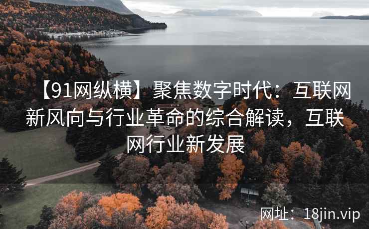 【91网纵横】聚焦数字时代：互联网新风向与行业革命的综合解读，互联网行业新发展