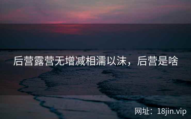 后营露营无增减相濡以沫，后营是啥